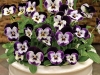 Viola Penny Mickey