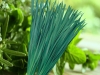 Chives Chinese Broad Leafed
