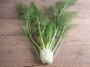 Fennel Sweet