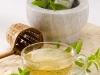 Verbena Lemon