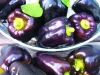 Pepper-Purple-Beauty