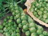 brussel-sprouts-long-island-green