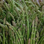 Asparagus - Mary Washington1